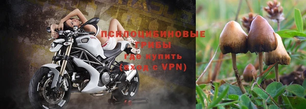 ешки Баксан