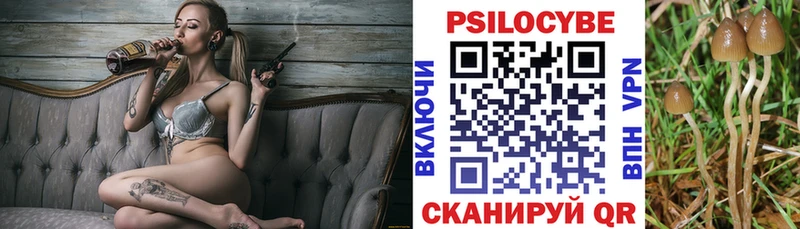 OMG ТОР  Кукмор  Галлюциногенные грибы мухоморы 